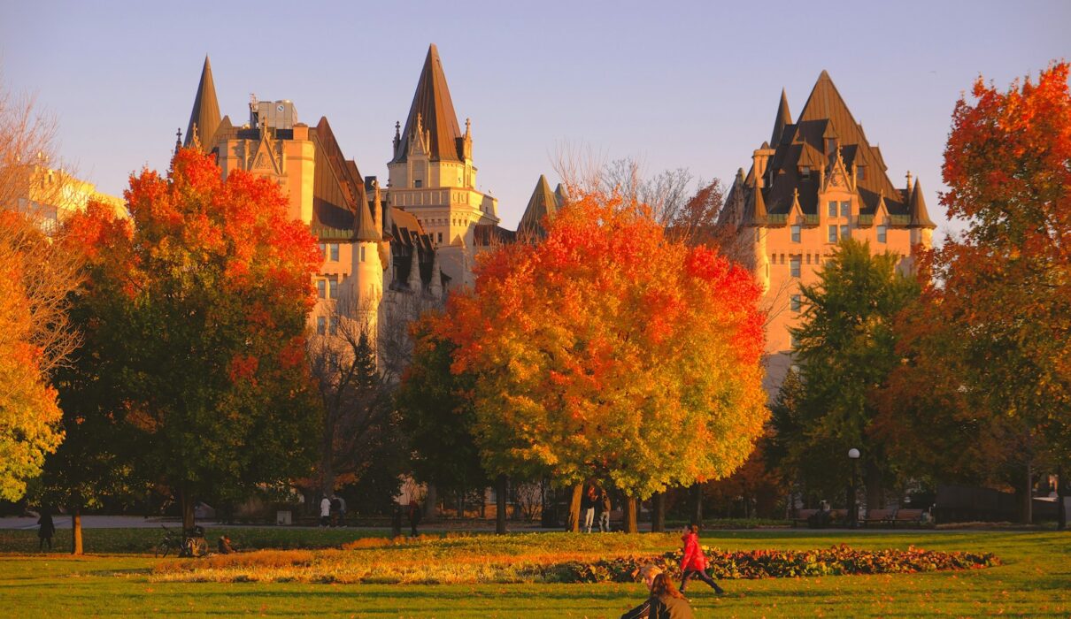 Buy Weed Online in Ottawa