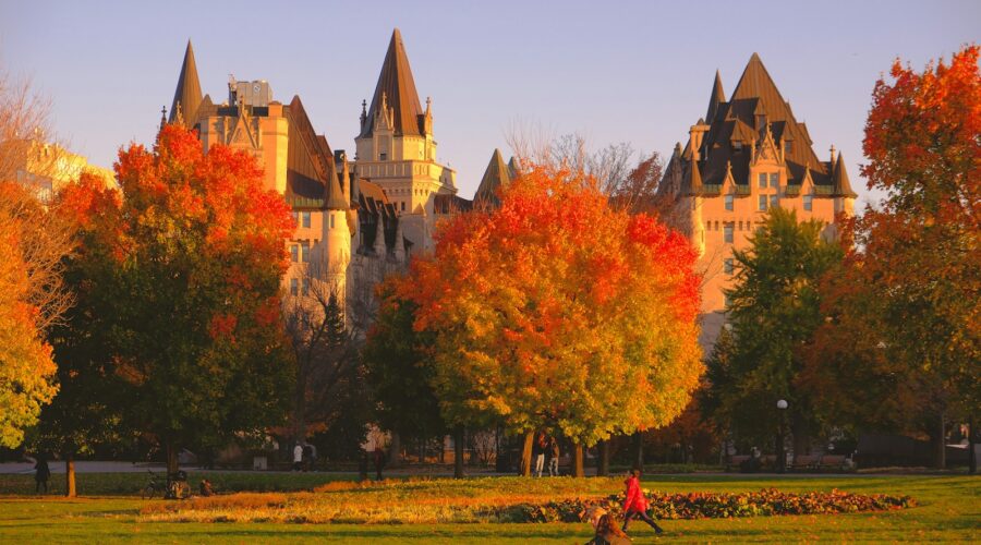 Buy Weed Online in Ottawa