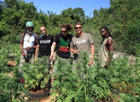 Best Weed Friendly Countries in Europe
