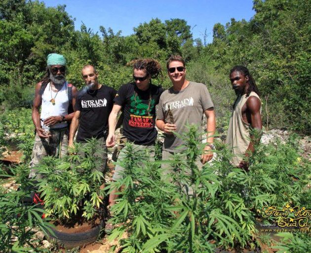 Best Weed Friendly Countries in Europe