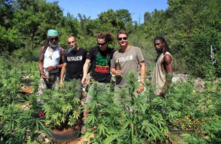 Best Weed Friendly Countries in Europe