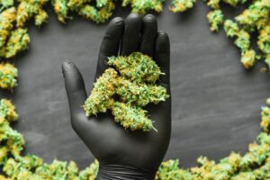 Online dispensary that ships to all states - Best weed dispensaries near me